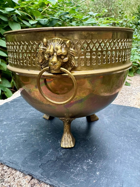 Art Nouveau Brass Lion Planter – Decorative Objects (photo 6 of 7)