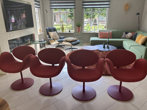 4 Original Artifort Little Tulip Rosso (non rosso acceso). 1 anno. Acquistati da Gilsing Zevenaar