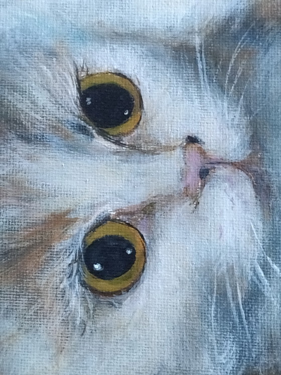 Image 1 of Dipinto di gatti 🐱