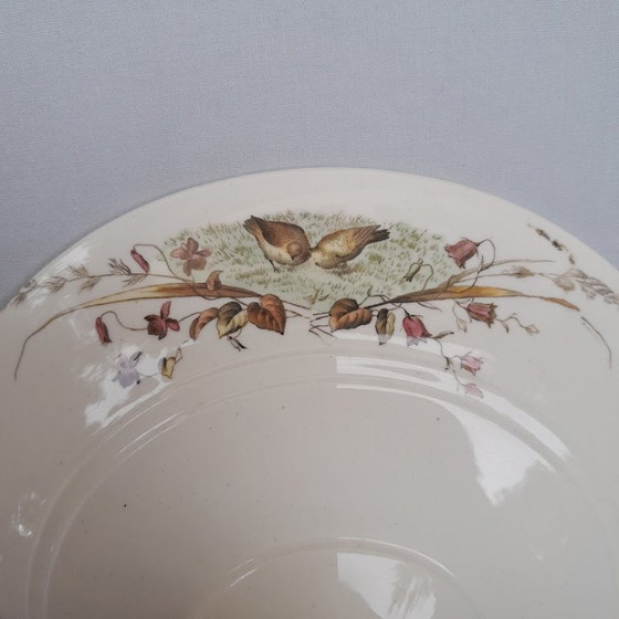 Piatto tazza vittoriano antico. Brown-Westhead, Moore & Co. – Brown-Westwood, Moore en Co., Stoviglie (photo 6 of 8)