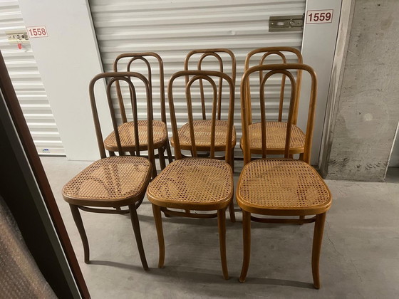Image 1 of 6 original rattan Thonet chairs in good condition