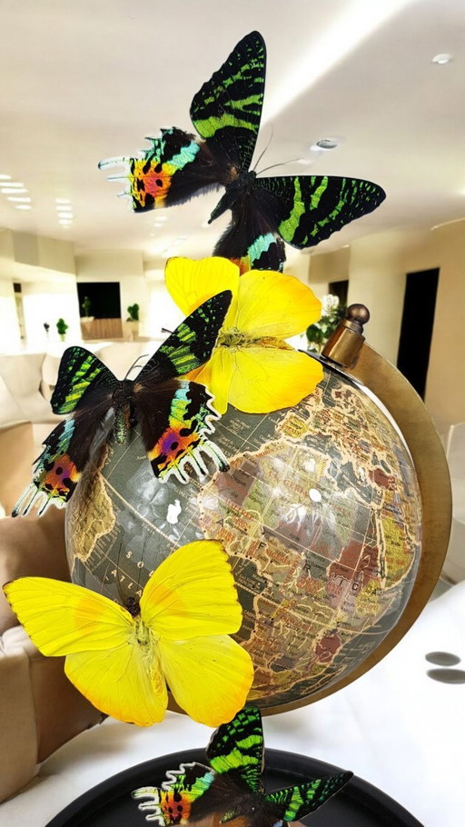Real butterflies on globe artwork under glass dome limited edition