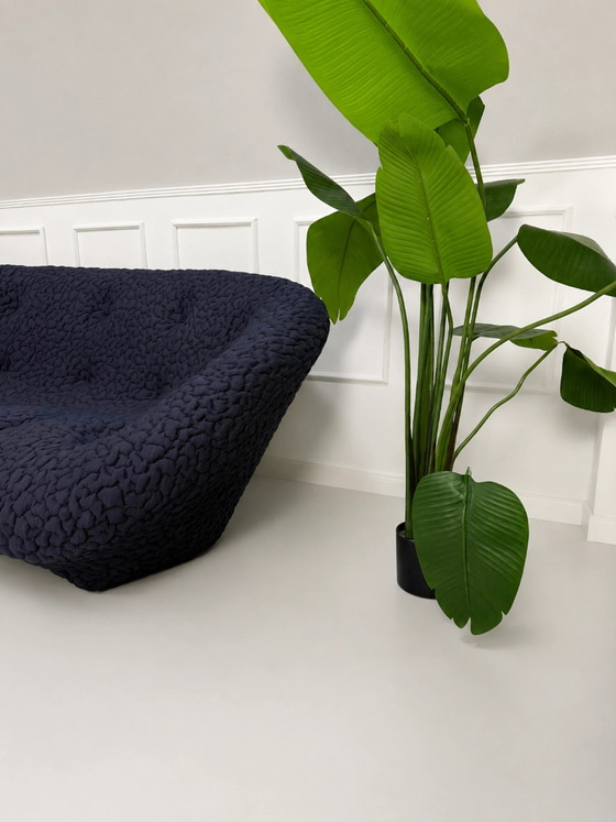 Image 1 of Ligne Roset Ploum Designer Sofa Blau Stoff