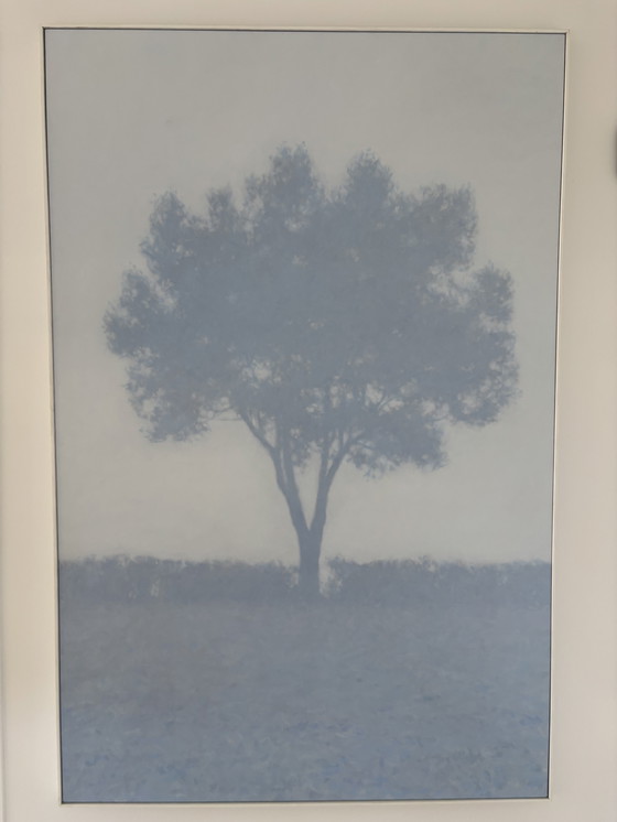 Image 1 of Albero nella nebbia di Tobia Spierenburg