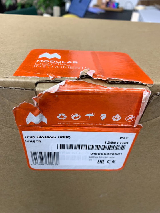 Image 1 of 1x Modulare Tulpenblütenlampe