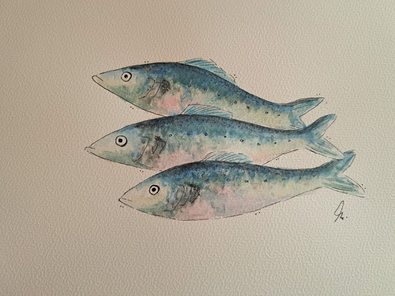Image 1 of Watercolor painting Three Sardines