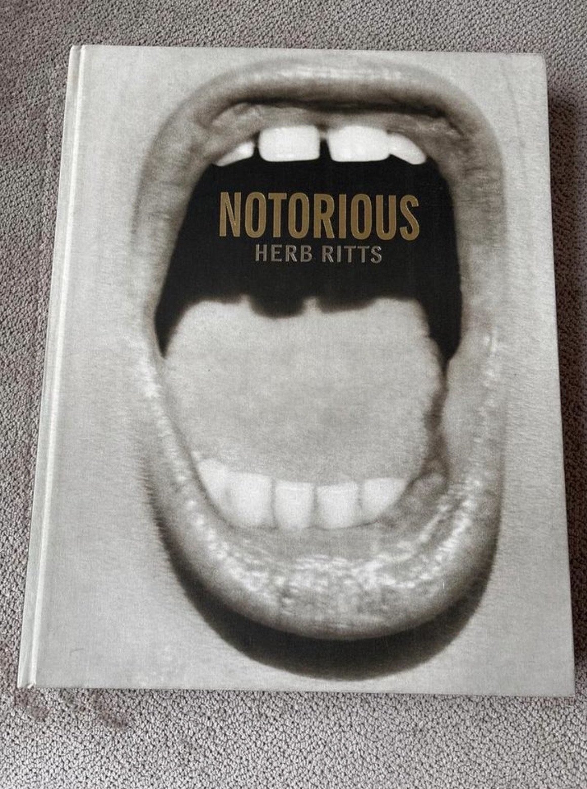 Herb Ritts Notorious (1992) Iconic collector's photo book, 160