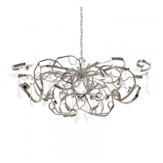 Image 1 of Brand van Egmond Delpinium