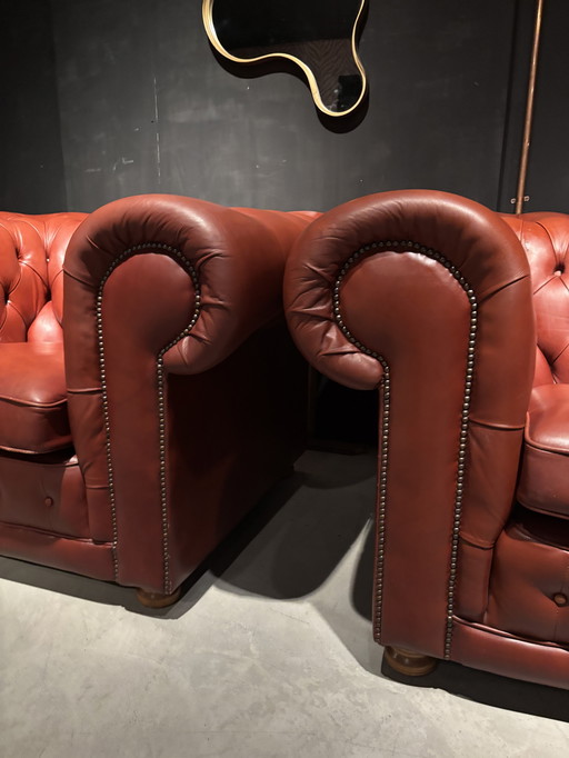 2 Chesterfield XL Clubfauteuils Springvale
