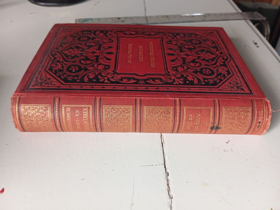 Libri antichi – Libri d'arte, Carta (photo 4 of 10)