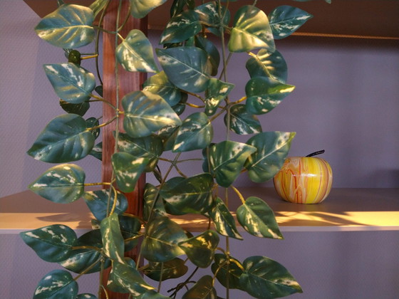 Image 1 of Pensile Castelijn Groove XS / Solo