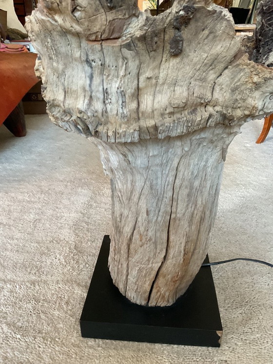 Image 1 of Magnifique lampe en souche d'arbre du Bhoutan