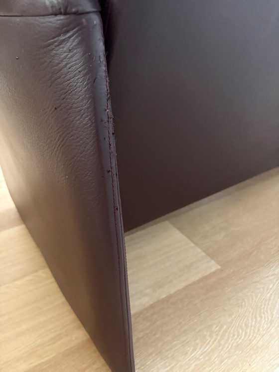Leolux de 3 plazas – Sofás de 3 plazas, Leather (photo 7 of 7)