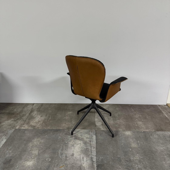 Blake donna Set of 4 – Bert Plantagie, Dining chairs, Leather, Plastic (photo 3 of 4)
