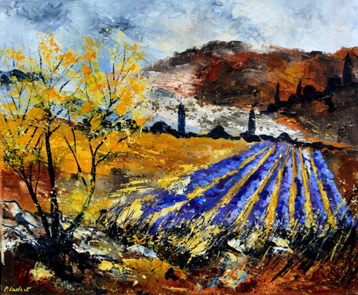 Lavender in Provence