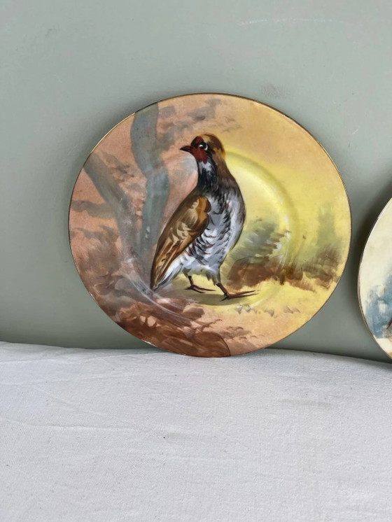 Set dekorativer Teller – Geschirr, Porcelain (photo 2 of 7)