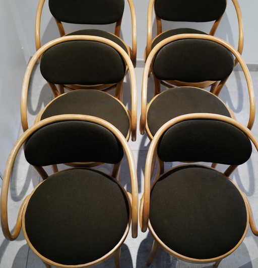 6x Thonet Stühle (209)