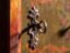 Antique painted armoire in pine wood – Austria, Year 1831 – Wardrobes, Rustic (photo 23 of 40)