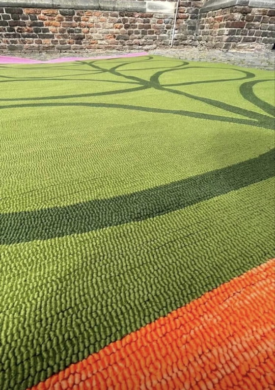 Image 1 of Alfombra de pastos marinos gigantes Brink &amp; Campman