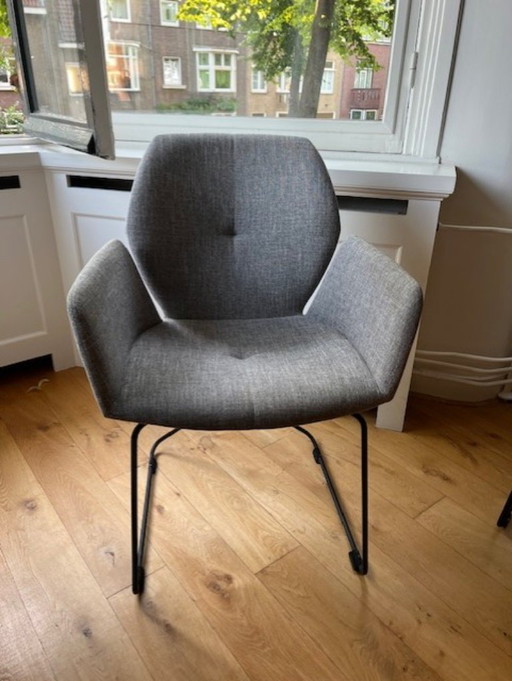 6x Manzini dining chairs Gray