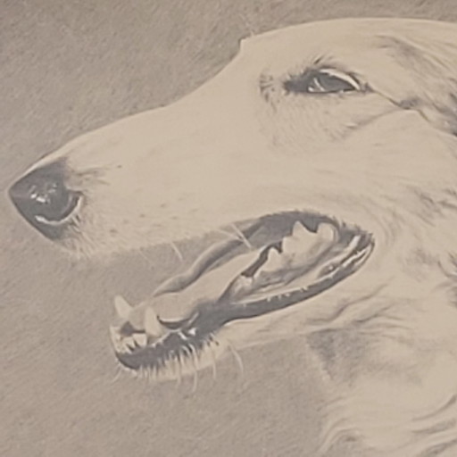 Dessin original au crayon d'un lévrier Borzoï Art Déco par F. Basteens, 1933