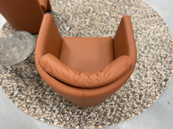 Image 1 of 2 Leolux Suva Fauteuils Wapiti Hawk leer 