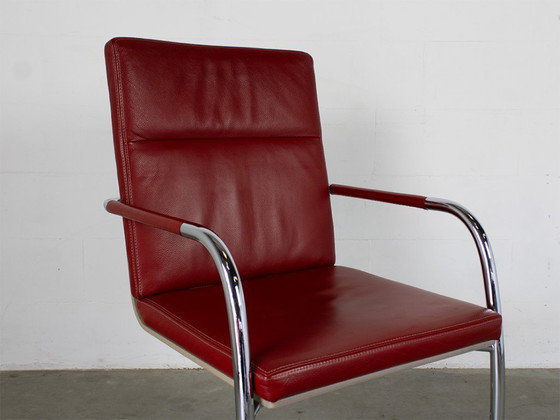 Thonet S61 Sled Chair, Design Glen Oliver Löw – Dining chairs, Leather, Wood (photo 7 of 10)