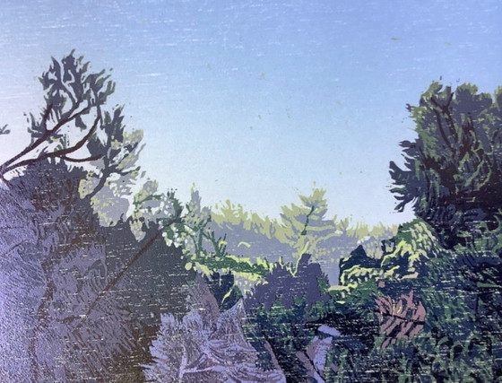 Estampe en couleurs de Siemens Dijkstra – Lithographies et sérigraphies, Wood (photo 9 of 14)