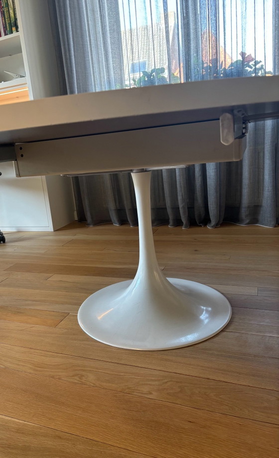 Pastoe Esstisch mit konischem Bein – Esstische, Kunststoff (photo 3 of 8)