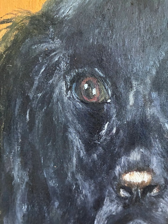 Vintage original dog portrait oil painting, signed animal art – Paintings & Drawings, Wood, Canvas (photo 8 of 20)