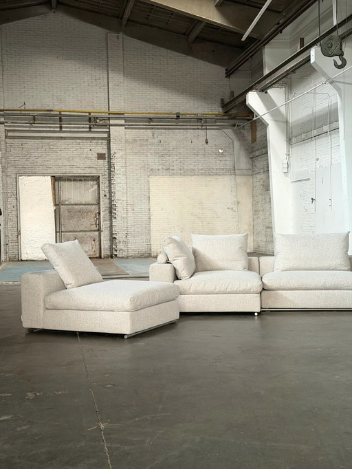 Flexform Bodensubstrat | Shiitake