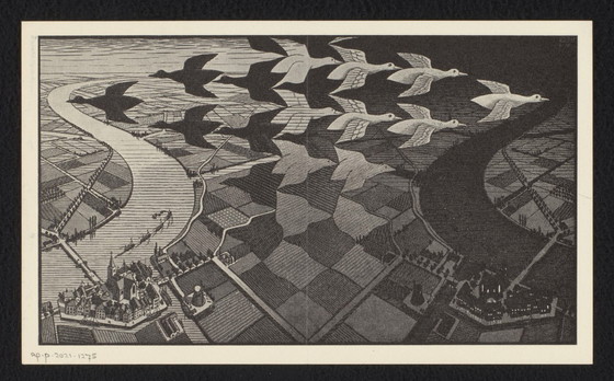 Image 1 of M.C. Escher - Vuelo de pájaro