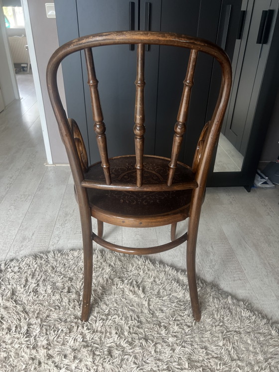 Sedia da ufficio Fischel – Sedie da pranzo, Wood (photo 5 of 5)