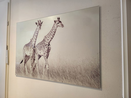 Pittura su vetro di Ter Halle
