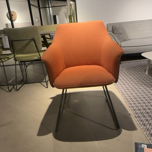 Leolux Mara Outline Esszimmerstuhl (4er-Set)