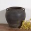 Vaso antico con manici (c.1900) #17 – Vasi (photo 10 of 40)