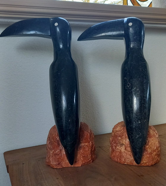 Image 1 of 2 toucans marbrés