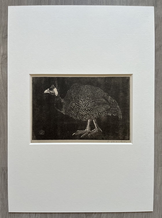 Image 1 of Jan Mankes 1889-1920 / Original Heliogravüre Perlhuhn 1923