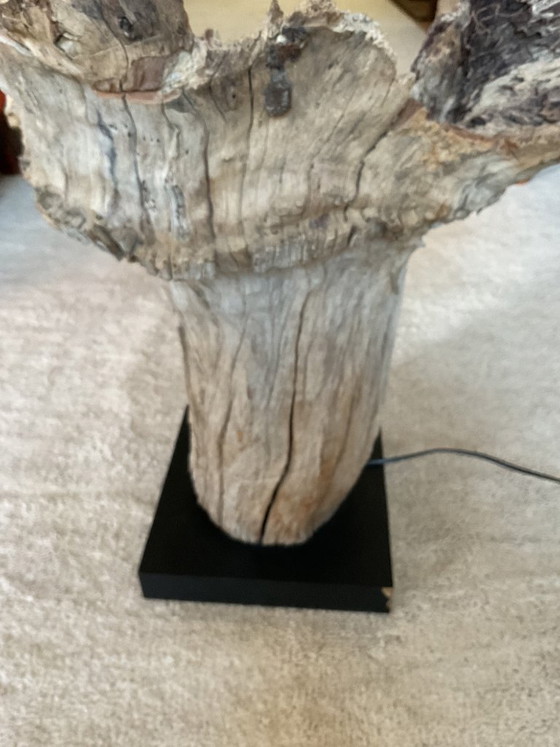 Image 1 of Magnifique lampe en souche d'arbre du Bhoutan