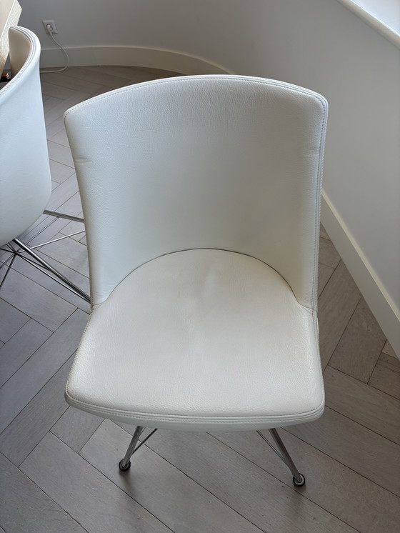 Image 1 of 6 x Rho van Bert Plantagie