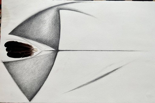 Collage, dessin avec des plumes