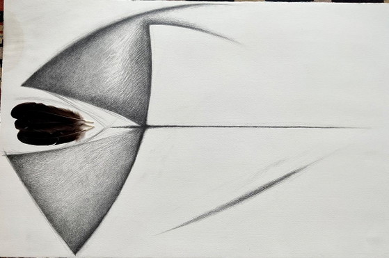 Image 1 of Collage, dessin avec des plumes
