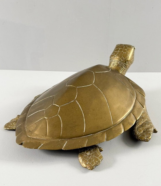 Image 1 of Hollywood Regency, scultura di tartaruga in ottone/scatola/tartaruga a becco di civetta, Francia, anni '70