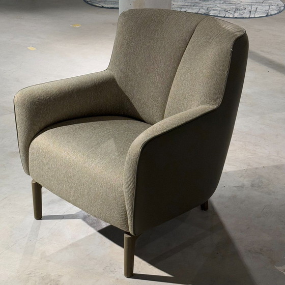 Image 1 of Leolux Santosa armchair