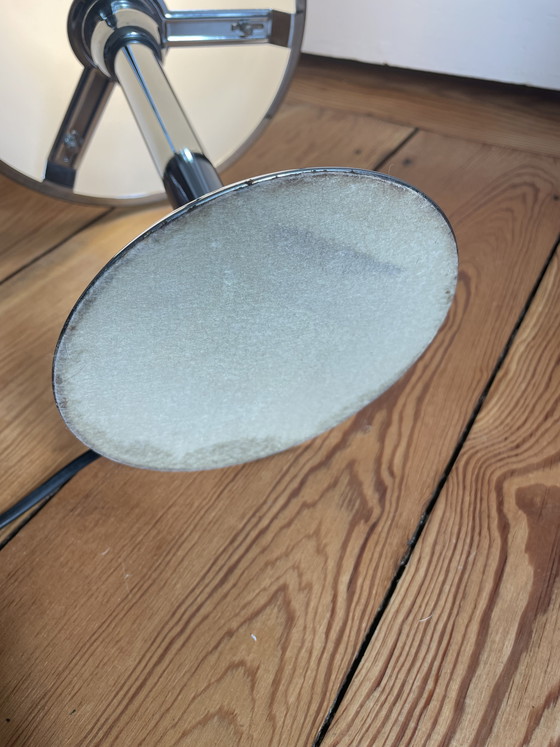 Image 1 of Champignon Lamo