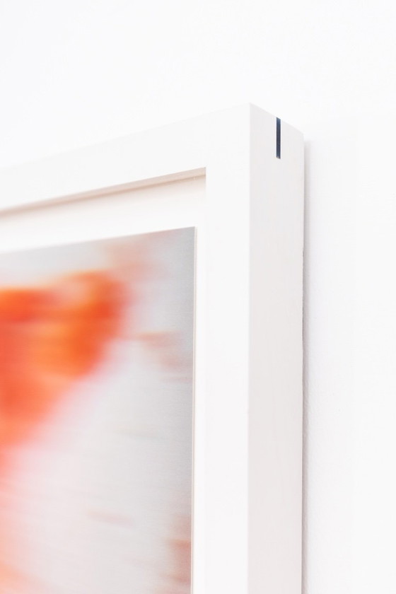 Image 1 of LILXLYLILXLY - Blisss