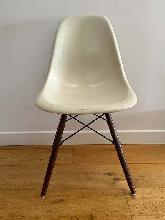 Set di 6 sedie Eames DSW — Herman Miller, scocche originali 1956–1959 – Sedie da pranzo (photo 5 of 10)