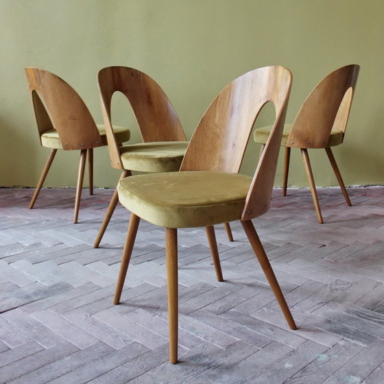 Image 1 of Sillas icónicas de Antonín Šuman con respaldos curvos chapados en madera, estilo moderno de mediados de siglo, década de 1960.
