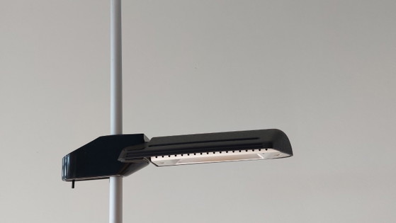 Image 1 of Lampada da terra Arteluce (Flos) nera BIS A700