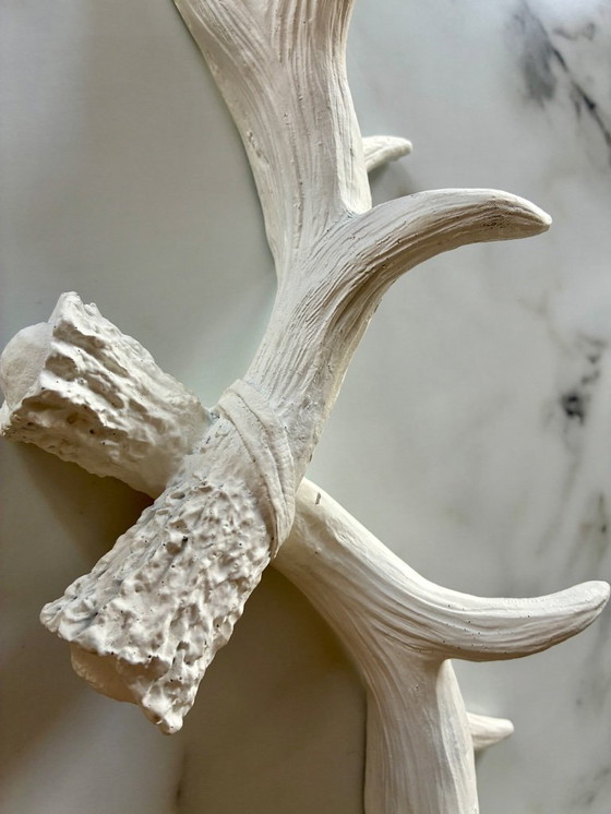 Image 1 of Cornes décoratives en résine